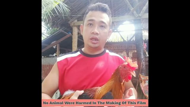 True grits Vitamins Prevention Of Crop Bound For Chicken смотреть онлайн