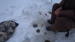 РЕКА БЕЛАЯ! Ловля голавля зимой!