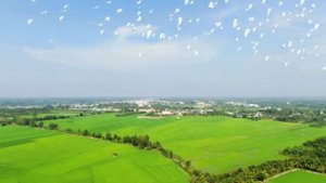 Я не твоя!!.mp4