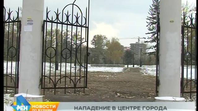 Стая бродячих собак напала на 17-летнюю девушку в одном из парков Иркутска смотреть онлайн