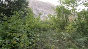 Саракташский район. Оренбургская область. Часть 2.