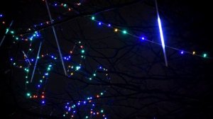 ГИРЛЯНДА  КАПЕЛЬКИ Футаж