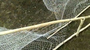 РАЗМЕРЫ КРИВДЫ (КРЫГА)