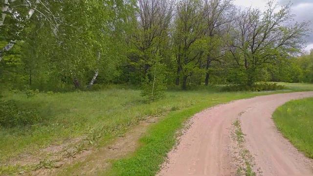 Башкортостан 2022 #природабашкирии #лес #башкирия