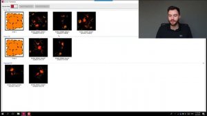 Registering scans together with Cyclone