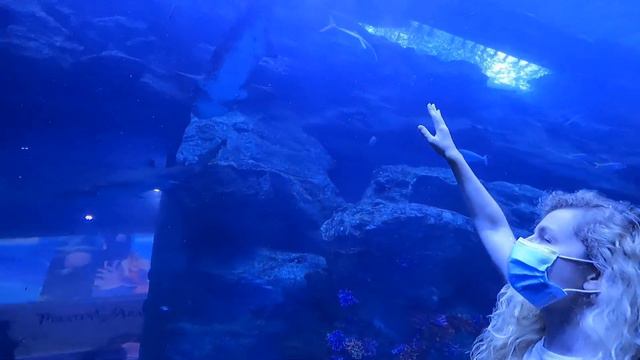 ДУБАЙ заманив і мене 🇦🇪 Бурдж-Халіфа, фонтани, рамка і найбільший ТЦ смотреть онлайн