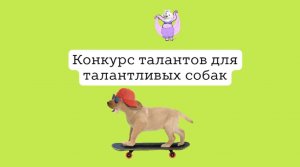 Какие таланты есть у собак обычного Московского спальника?