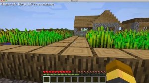 Minecraft Beta 1.9 NPC Village Map Seed!