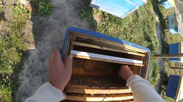 ПРОФИЛАКТИКА ОТ КЛЕЩА, САМОДЕЛЬНЫЕ ПЛАСТИНЫ, ГЛИЦЕРИН+ЩАВЕЛЕВАЯ КИСЛОТА .aab. смотреть онлайн