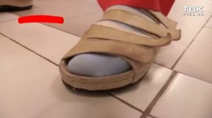 «Проверка» ТВК школы №154 (Красноярск)