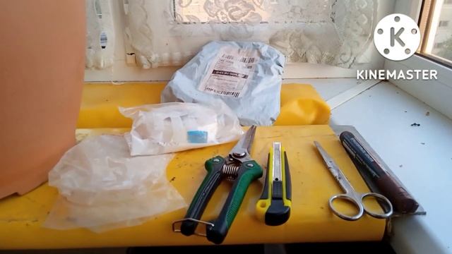 Выращивание цитрусовых дома Формирование мандаринового дерево-сада на лимоне пондероза Метод Ментор