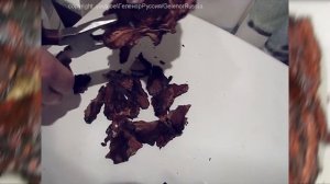 Как самостоятельно заготовить грунт для орхидей из сосновой коры плюс мои орхидеи красивые