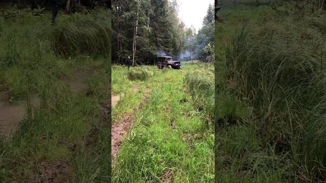 Уаз на базе газ 66 со всеми блокировками едет по болоту смотреть онлайн