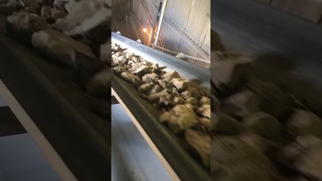 Добыча щебня в Волгограде и Волгоградской области