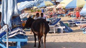 Пляж Баги, Гоа / Baga beach, Goa