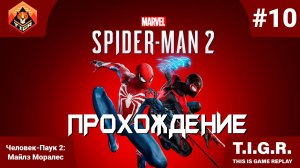 Человек-Паук 2: #10 | Прохождение Spider-Man 2
