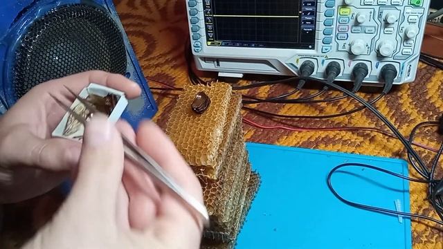 Эксперимент влияния звуковых вибраций на полостные структуры, опыты  Гребенникова.