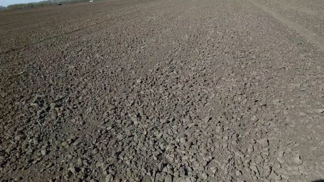 Самодельные культиваторы, Обзор! Предпосевная культивация 2020! МТЗ-892, МТЗ-80 (2). смотреть онлайн