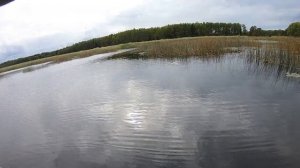 Ловля щуки в траве на спиннинг , в конце сентября..на спинербейт