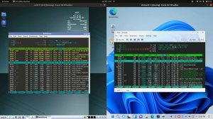 Antix 21 vs Windows FX 11