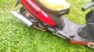 Обзор на Мой Скутер Navigator/какая стоимость его?