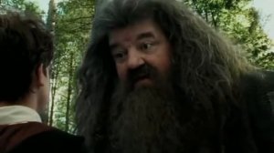 переозвучка Гарри Поттер с сестрой ПОЧЕМУ ОБОСРАЛСЯ ГАРРИ??????