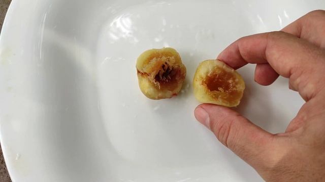 Дегустация персика (Московский карлик) смотреть онлайн