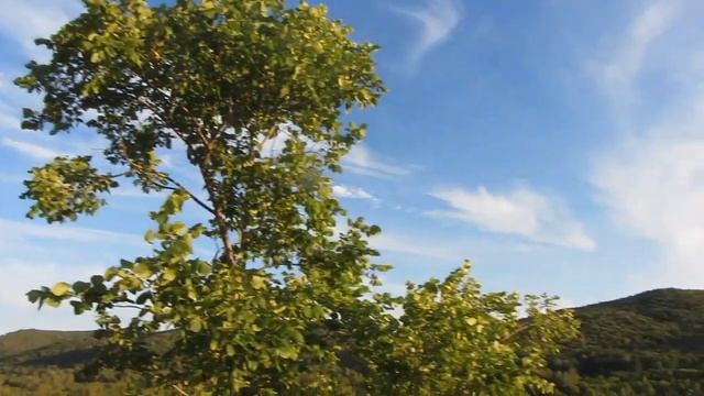 Видеоэкскурсия часть 2 смотреть онлайн