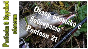 Обзор посылки с воблерами Pontoon 21 (Kalikana Dun, Bet-A-Minnow/Shad/Shiner)  из Fmagazin ru