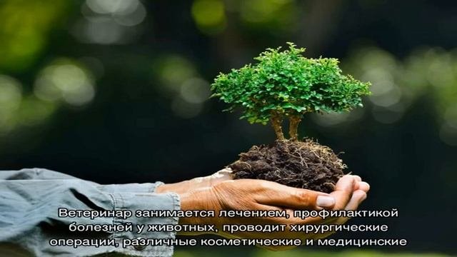 Работа, связанная с природой