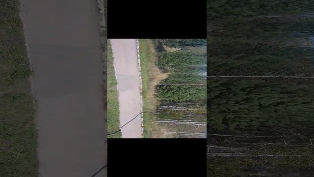 строика дома