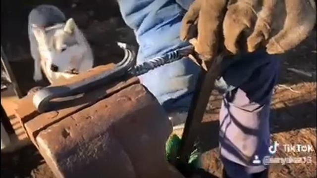 Торсировка квадрата под кочергу смотреть онлайн