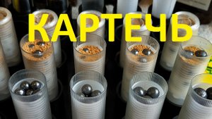 КАРТЕЧЬ и КРУПНАЯ дробь Снаряжение Анонс тестового отстрела