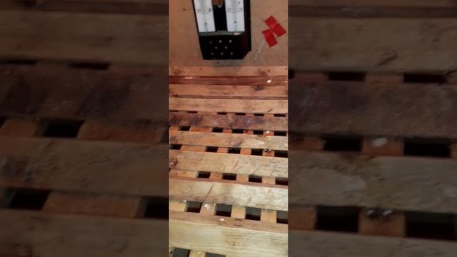 Дезинфекция инкубатора.           Как я это делаю.
