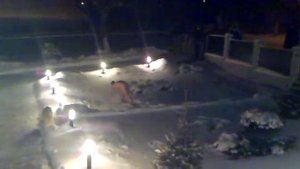 снежный человек-гибон - существует!!!