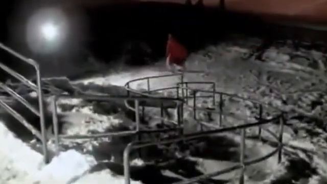 Экстримальные виды спорта  - яркая жизнь!