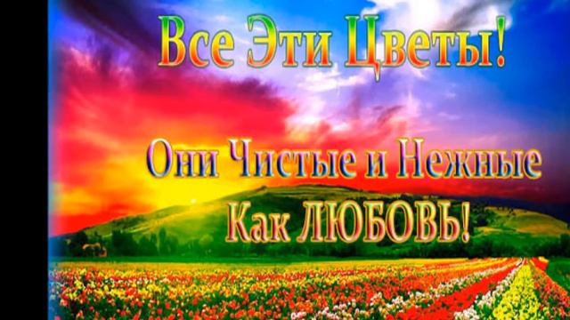 БЕССОВЕСТНО КРАСИВАЯ