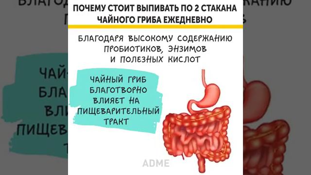 25 февраля 2019 г. смотреть онлайн