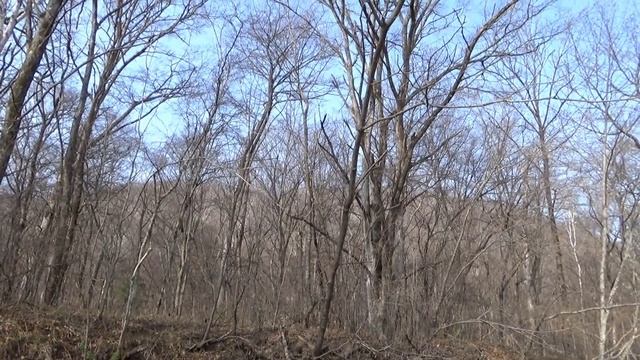 Речка Моленная, горы, октябрь 2023 г. смотреть онлайн