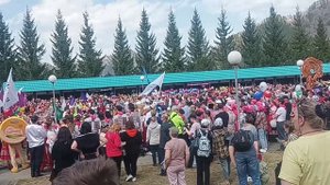 Цветение маральник на Алтае ( фестиваль)