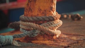 "Корабли" Паэт,-