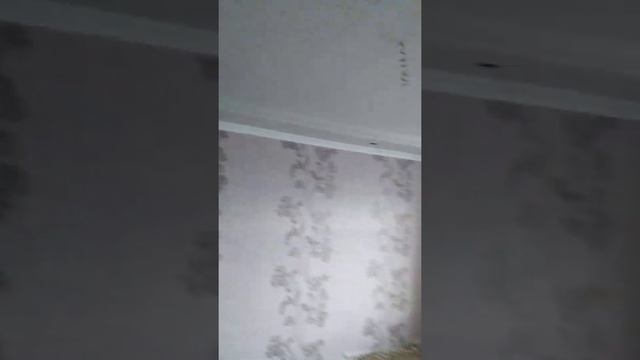 Поклейка обои по рисунка и МДФ потолок #3 смотреть онлайн