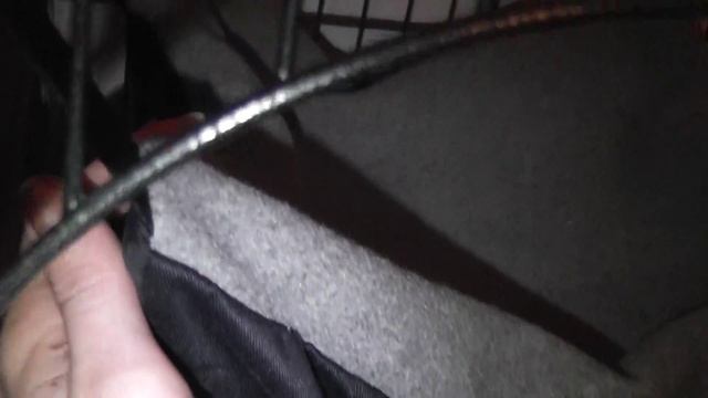 Хорьки: про туалет, наполнитель и еду смотреть онлайн