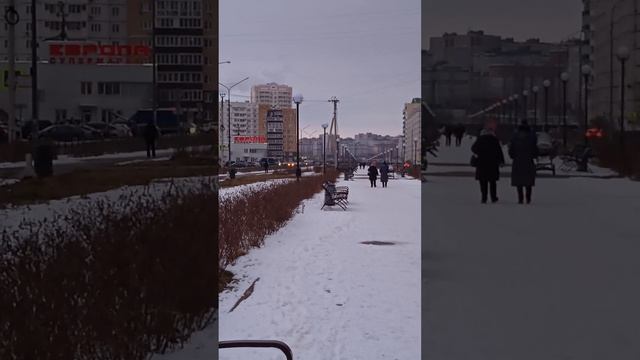 Аллея Белана зимой. 04.02.23.