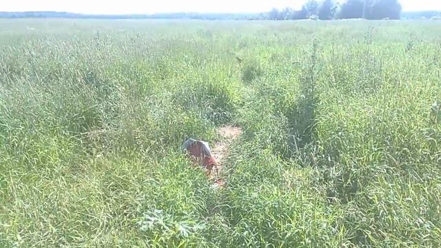 Самая высокая точка Московской области - вершина Замри-горы - 1 ч из 5 смотреть онлайн