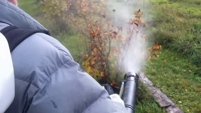 Опрыскиватель бензиновый Champion PS257 смотреть онлайн