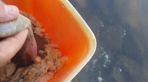 Как сделать прикормку из хлеба для ловли рыбы на пружины рыбалка В Запорожье