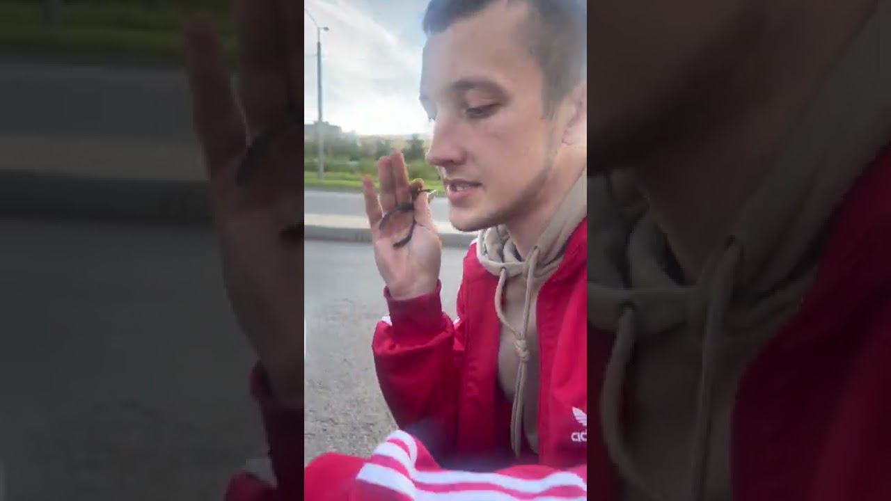 АВТОЛАЙФ смотреть онлайн