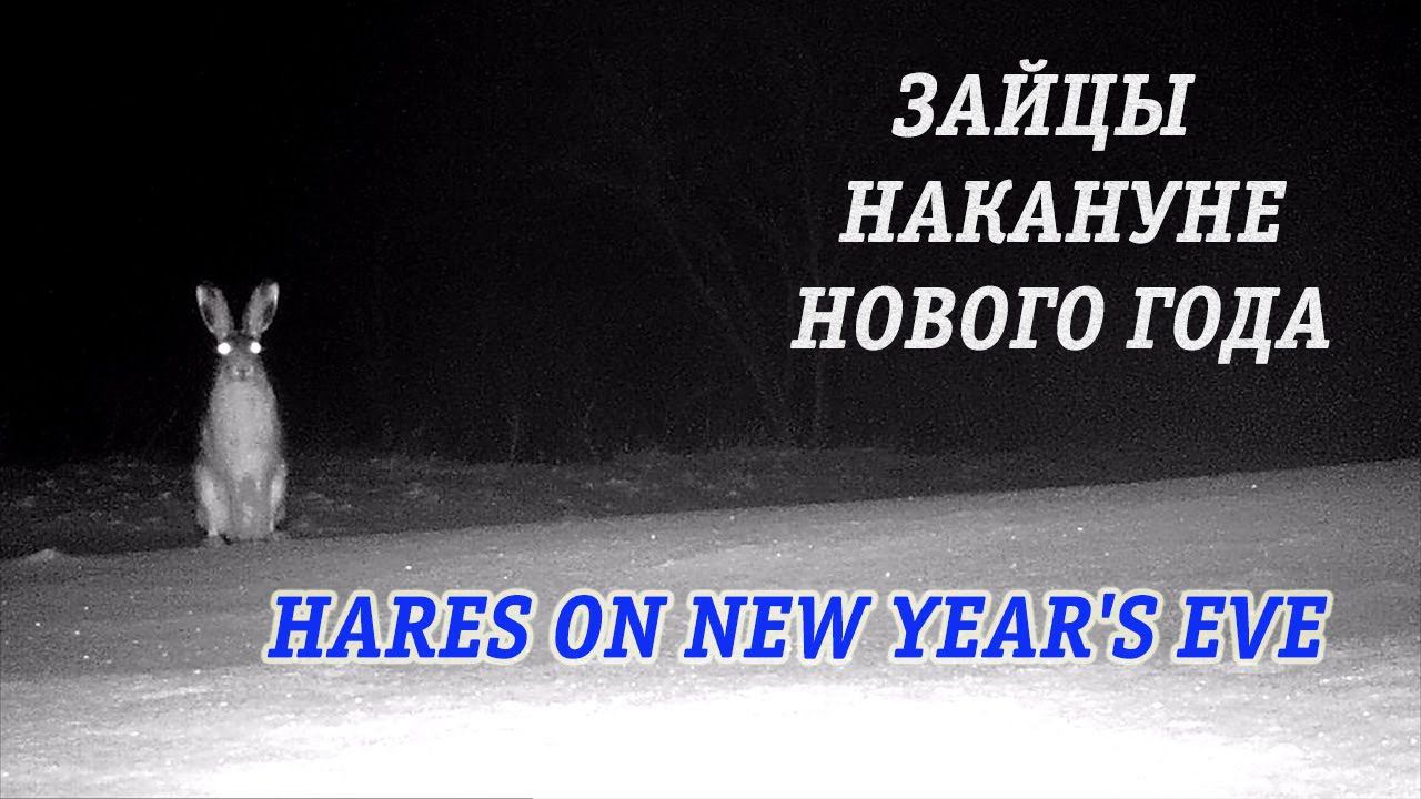 Зайцы накануне Нового Года / Hares on New Year's Eve смотреть онлайн