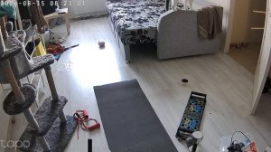 Когда проспал на работу)